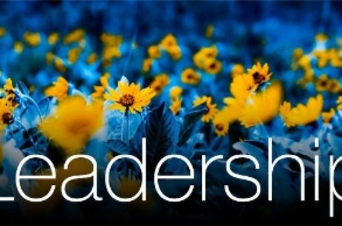 Article : Comment pourrais-je définir le leadership ?